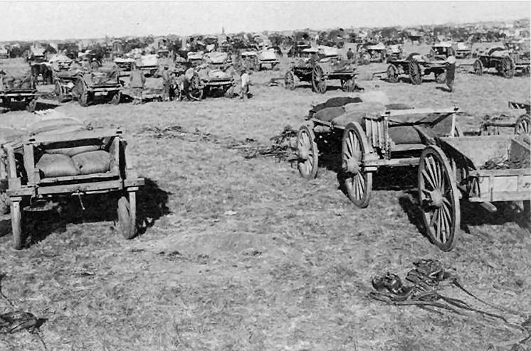 Convoy of the 11th Division "outspanned" on the march to Kroonstad
