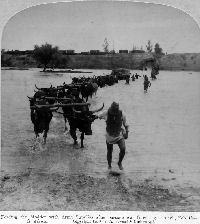 Fording the Modder River